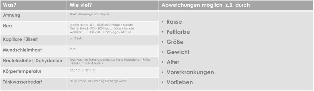 Erste Hilfe am Hund: Normwerte