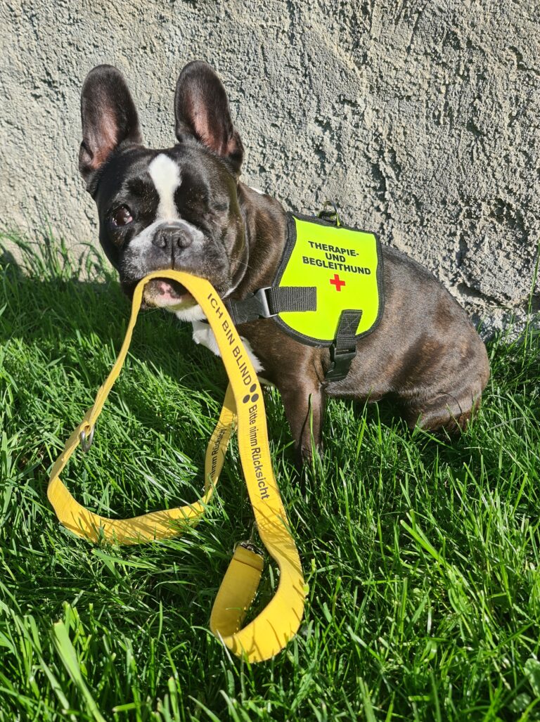 Handicapdogs Cleo