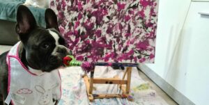 Cleo von Handicapdogs