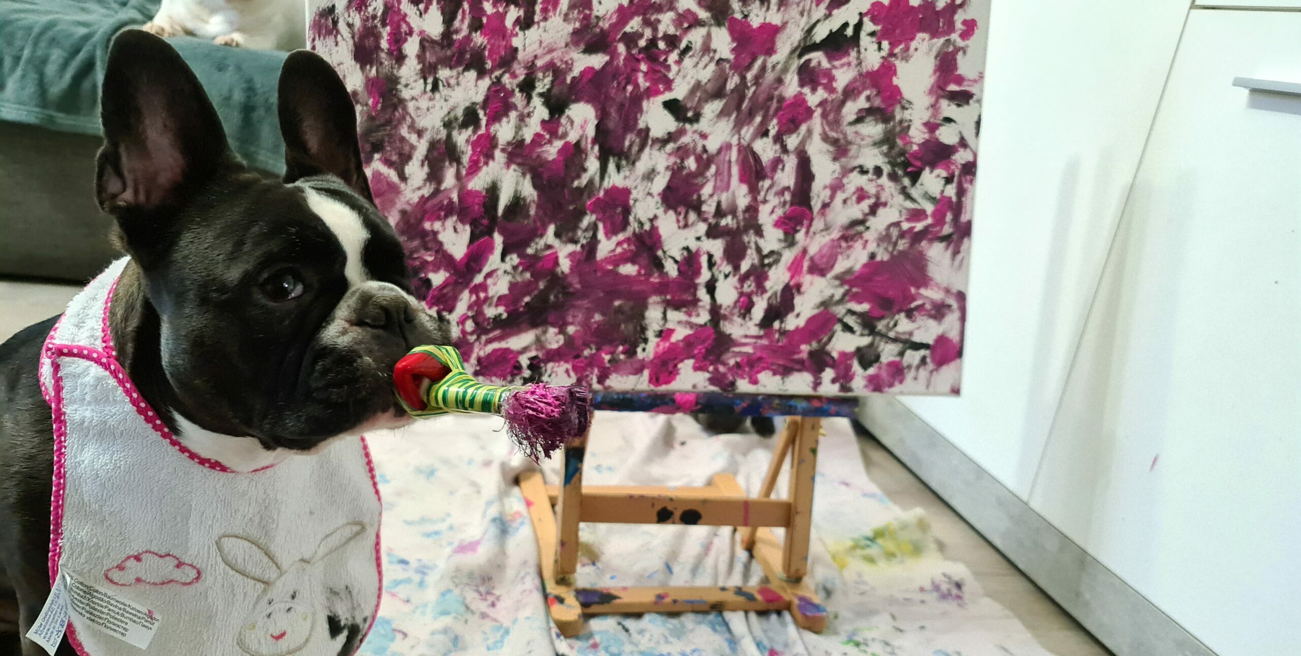 Cleo von Handicapdogs