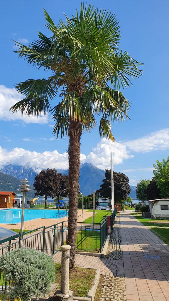 Campingplatz am Comer See