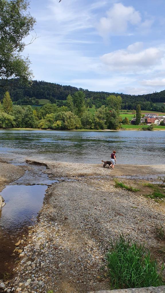 Spaziergang mit Hund am Rhein in Wagenhausen