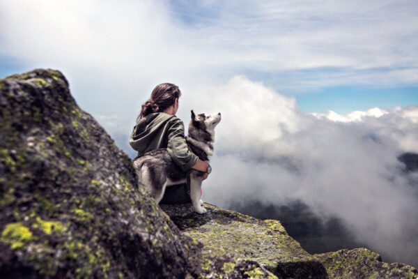 Schnauzentrip-Guide werden